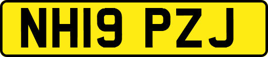 NH19PZJ