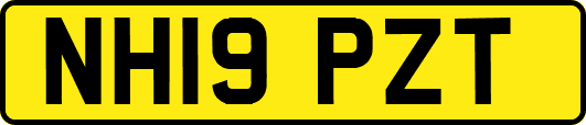 NH19PZT