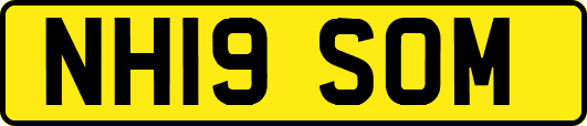 NH19SOM