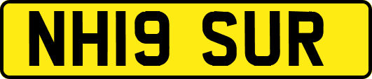 NH19SUR