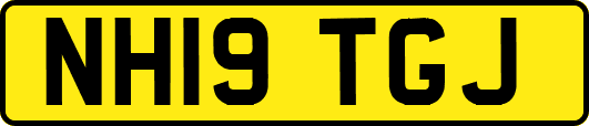 NH19TGJ