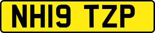 NH19TZP