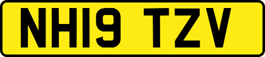 NH19TZV