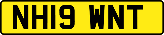 NH19WNT