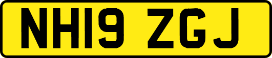 NH19ZGJ
