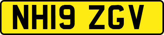 NH19ZGV