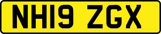 NH19ZGX