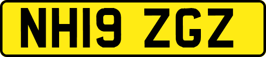 NH19ZGZ