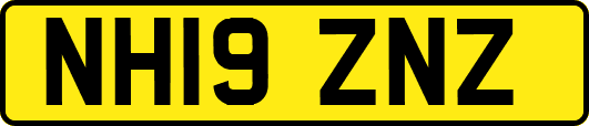 NH19ZNZ