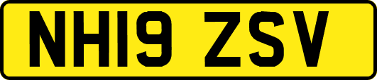 NH19ZSV