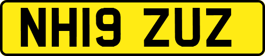 NH19ZUZ