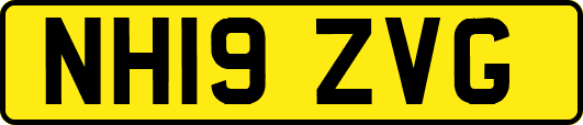 NH19ZVG