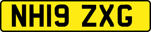 NH19ZXG