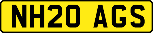 NH20AGS