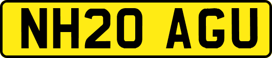 NH20AGU