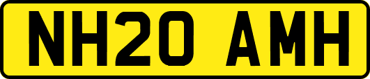 NH20AMH