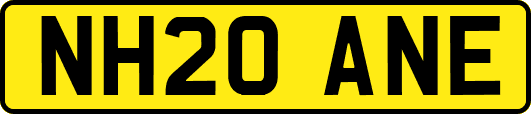 NH20ANE