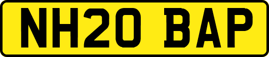 NH20BAP