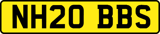 NH20BBS
