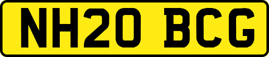 NH20BCG