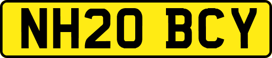 NH20BCY