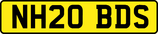 NH20BDS