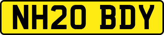 NH20BDY