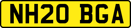 NH20BGA
