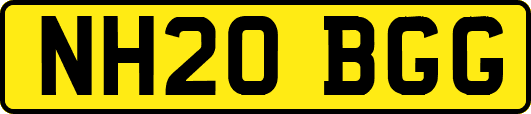 NH20BGG