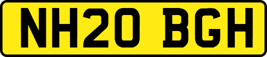 NH20BGH