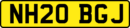 NH20BGJ