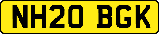 NH20BGK
