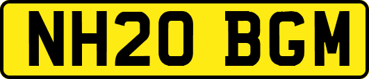 NH20BGM