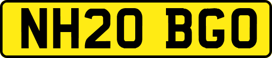 NH20BGO