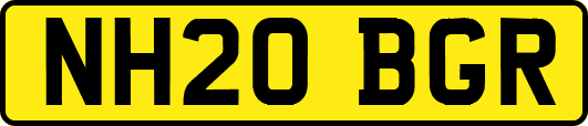 NH20BGR