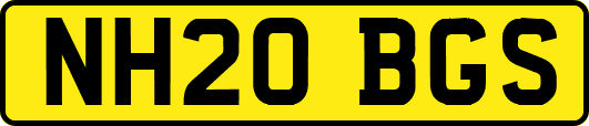 NH20BGS
