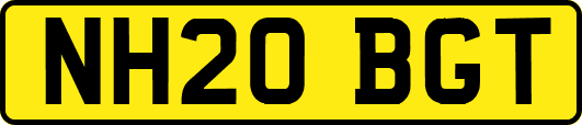 NH20BGT