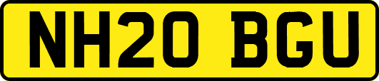 NH20BGU