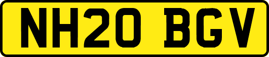 NH20BGV