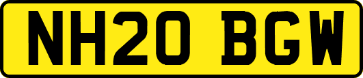 NH20BGW