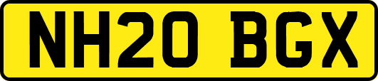 NH20BGX