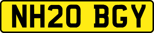 NH20BGY