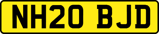 NH20BJD
