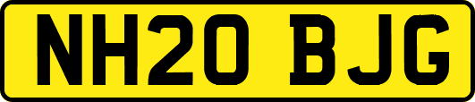 NH20BJG