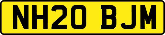 NH20BJM