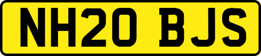 NH20BJS