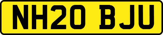 NH20BJU