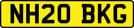 NH20BKG