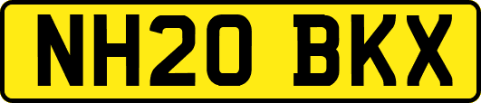 NH20BKX