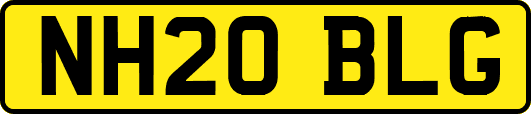 NH20BLG
